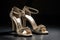 elegant footwear collection with sophisticated evening gown, perfect for formal event