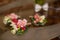 Elegant fresh flowers rose boutonniere on table closeup