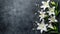 Elegant funeral lily on dark background with spacious area for strategic text placement