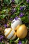 Elegant gold white shiny eater eggs on the ground with many violet flowers