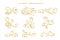 Elegant golden floral decoration big set design