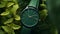 Elegant Green Analog Watch On Leaf In The Style Of Luigi Loir