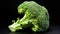 Elegant Green: Broccoli\\\'s Delightful Isolation