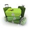 Elegant green luggage kit