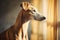 Elegant Greyhound Dog Gazing Through Window, AI Generated