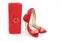 Elegant handbag and shoes for women