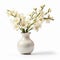 Elegant Handcrafted White Vase With Muted Tonalities And White Flowers