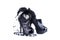 Elegant high heel shoes with bead necklace, and feather hair fascinator