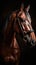 Elegant horse portrait on black background. Beautiful lonely horse