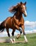 Elegant Horse Trotting Under Blue Sky