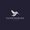 Elegant hummingbird logo template vector