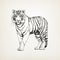 Elegant Inking: Detailed And Realistic Tiger On Light Background