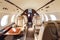 Elegant interior of a private jet, business class. Generative ai