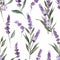 Elegant Lavender and Periwinkle Florals Seamless Pattern