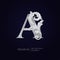 Elegant letter A with floral baroque ornament. Antique capital letter is surrounded with white decorations isolated on black