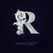 Elegant letter R with floral baroque ornament. Serif capital letter is surrounded with white decorations in 3D style. Exclusive