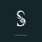 Elegant letter S. Graceful royal style.