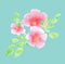 Elegant light rosy blossom on blue mint color background.