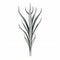Elegant Linear Drawing Of A Grass Plant: Minimalistic And Graceful Sculpture