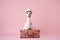elegant llama in a hat and with a suitcase on a pink background, Generative AI