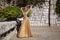 Elegant luxury evening fashion. Glamour, stylish elegant woman in long gown dress is posing in luxury hotel outdoor. Female model