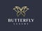 Elegant luxury minimalist gold butterfly logo