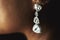 Elegant luxury wealthy wedding diamond earrings on beautiful bride closeup