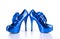 Elegant metallic blue female shoes