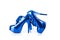 Elegant metallic blue female shoes