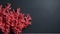 Elegant Minimalist Coral Wall: Realistic Still Life Of Isolated Coral Reef