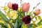 Elegant mixed tulips spring bouquet in white vase on white background. Spring tulips. Tulips bouquet.