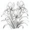 Elegant Monochrome Iris Flower Drawing In Detailed Outlined Art Style