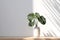 Elegant Monstera Vase: Nature's Touch.