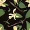 Elegant natural seamless pattern with vanilla, leaves, flowers and fruits or pods on black background. Botanical vector