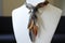 Elegant Necktie feathers roll banner. Generate Ai