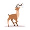 Elegant noble sika deer. Reindeer with antlers on white background. Ruminant mammal animal. Vector illustration in flat