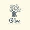 Elegant olive tree isolated icon. Creative olive tree silhouette. Logo design used for advertising products premium