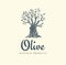 Elegant olive tree isolated icon. Creative olive tree silhouette. Logo design used for advertising products premium