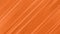 Elegant orange soft lines premium luxury seamless looped background.