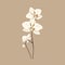 Elegant Orchids: A Minimalist Illustration With Graceful Balance