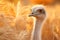 Elegant ostrich roaming african savanna, surrounded by a diverse array of flora and fauna