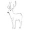 Elegant outline drawing of deer collection. Vector illustration