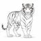 Elegant Outlines: Detailed Tiger Illustration On White Background