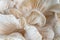 Elegant Oyster Mushroom Patterns in Close-Up. Generative ai