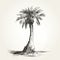 Elegant Palm Tree Sketch Illustration In Monochromatic Realism