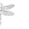 Elegant, partial dragonfly insect detailed sketch in black and white