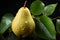 Elegant Pear Drops: Pears with Water Droplets on a Black Background with Leaves - Generative AI