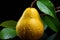 Elegant Pear Drops: Pears with Water Droplets on a Black Background with Leaves - Generative AI