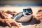 An elegant penguin with sunglasses relaxes on a tropical beach