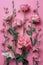 Elegant Pink Roses on a Vibrant Pink Background - Floral Beauty Concept